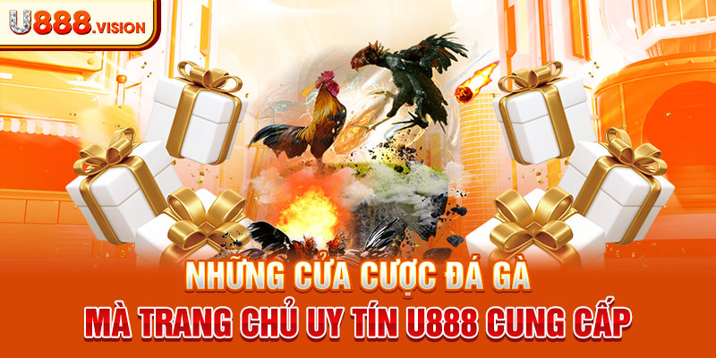 Những cửa cược đá gà mà trang chủ uy tín U888 cung cấp