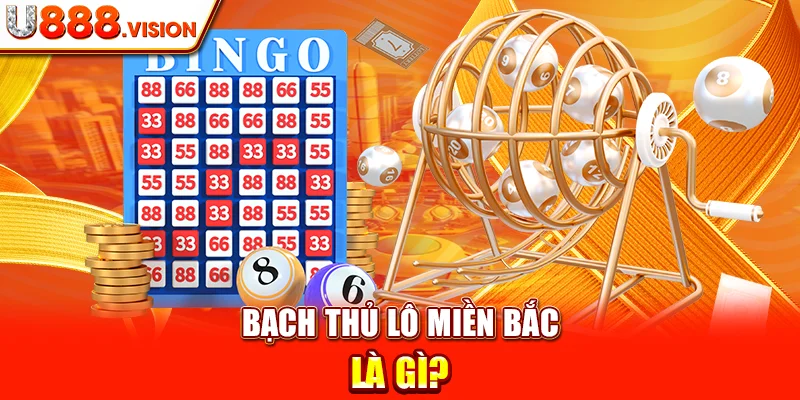 Bạch Thủ Lô Miền Bắc Là Gì?